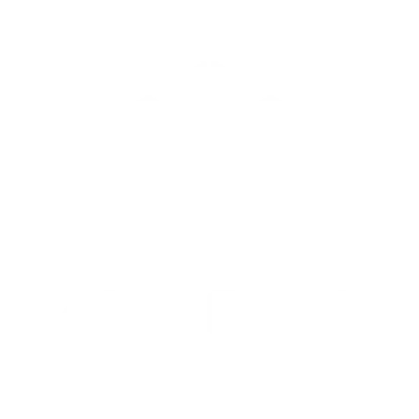 Vascon new